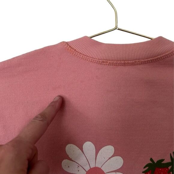 Dippin Daisys Light Pink Cotton Crew Neck Pull Over Strawberry Sweatshirt Size S - Picture 7 of 10